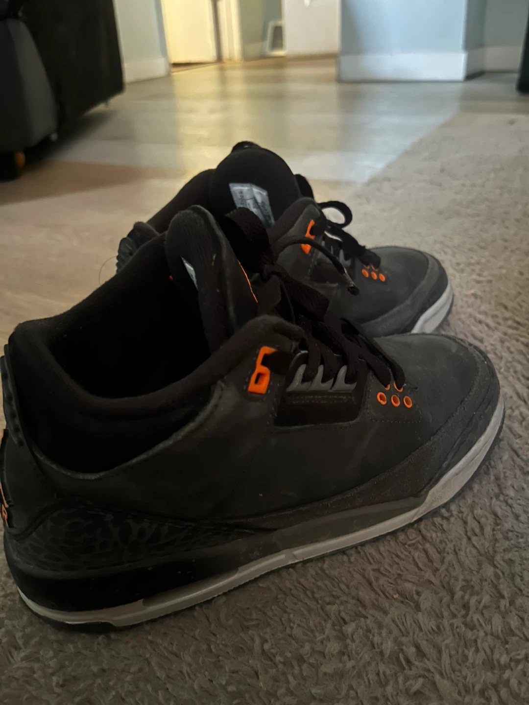 Air Jordan 3 Retro Shoes