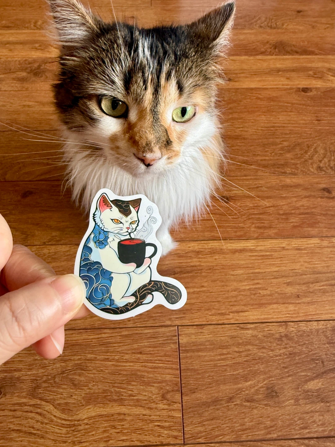 Assorted Cat Stickers 50 pieces - photo 4