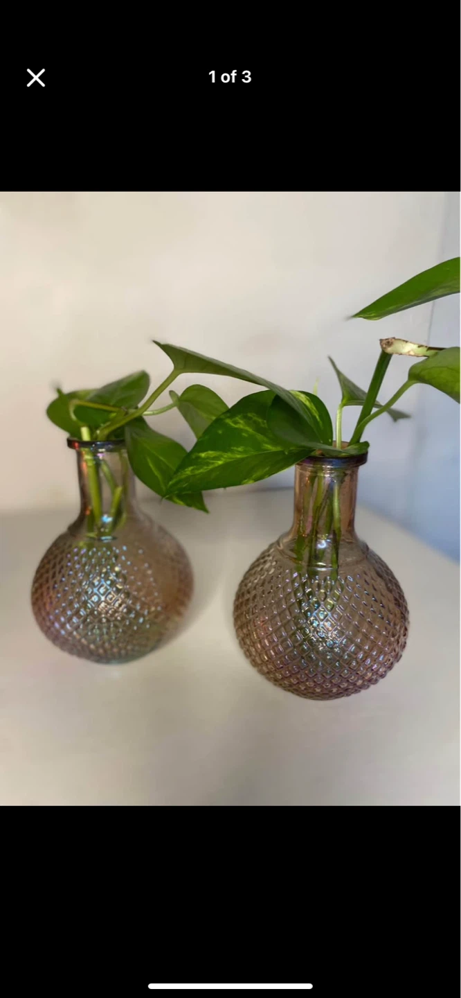 Set of 2 Diamond Patterned Glass Vases