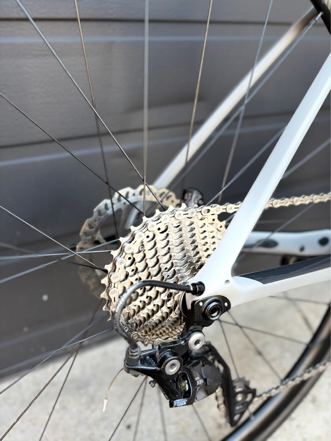 Carbon Giant Defy Advanced 2 - photo 3