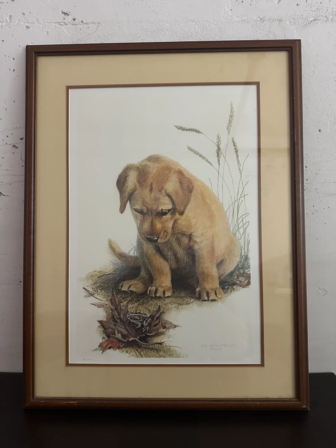 🎨 LIMITED EDITION FRAMED ART PRINT FOR SALE 🎨