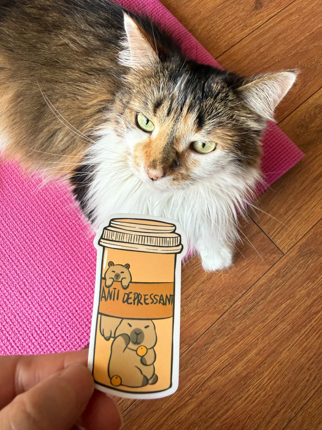 Anti Depressant Cat Stickers 50 pieces - photo 5