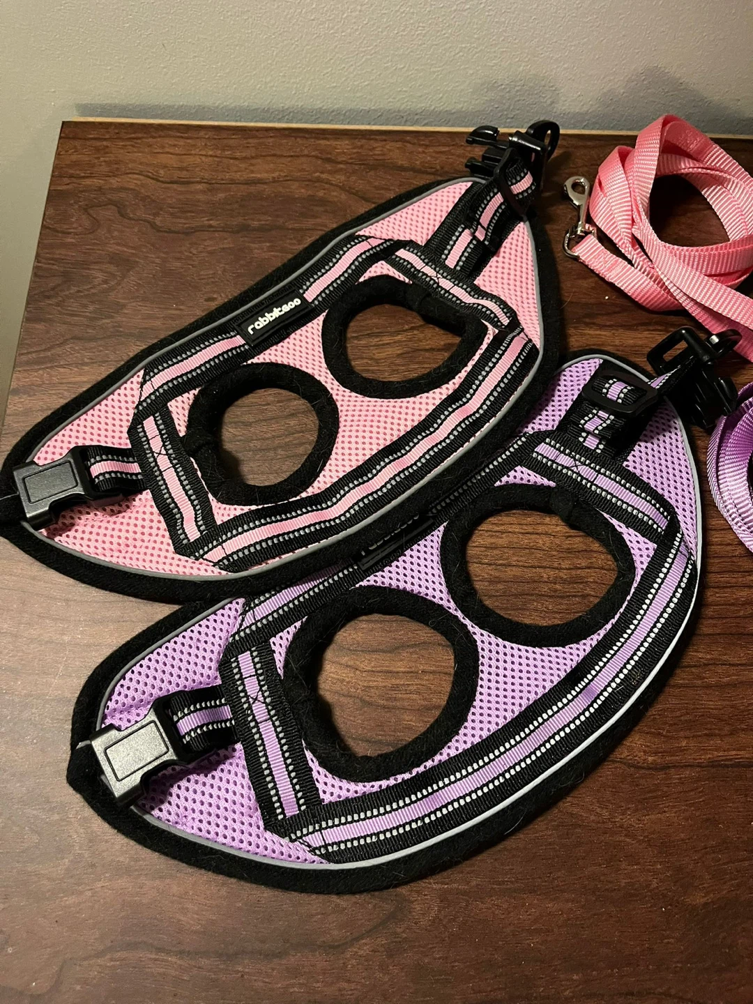 Kitten / Cat Harness (Set of 2) - photo 4