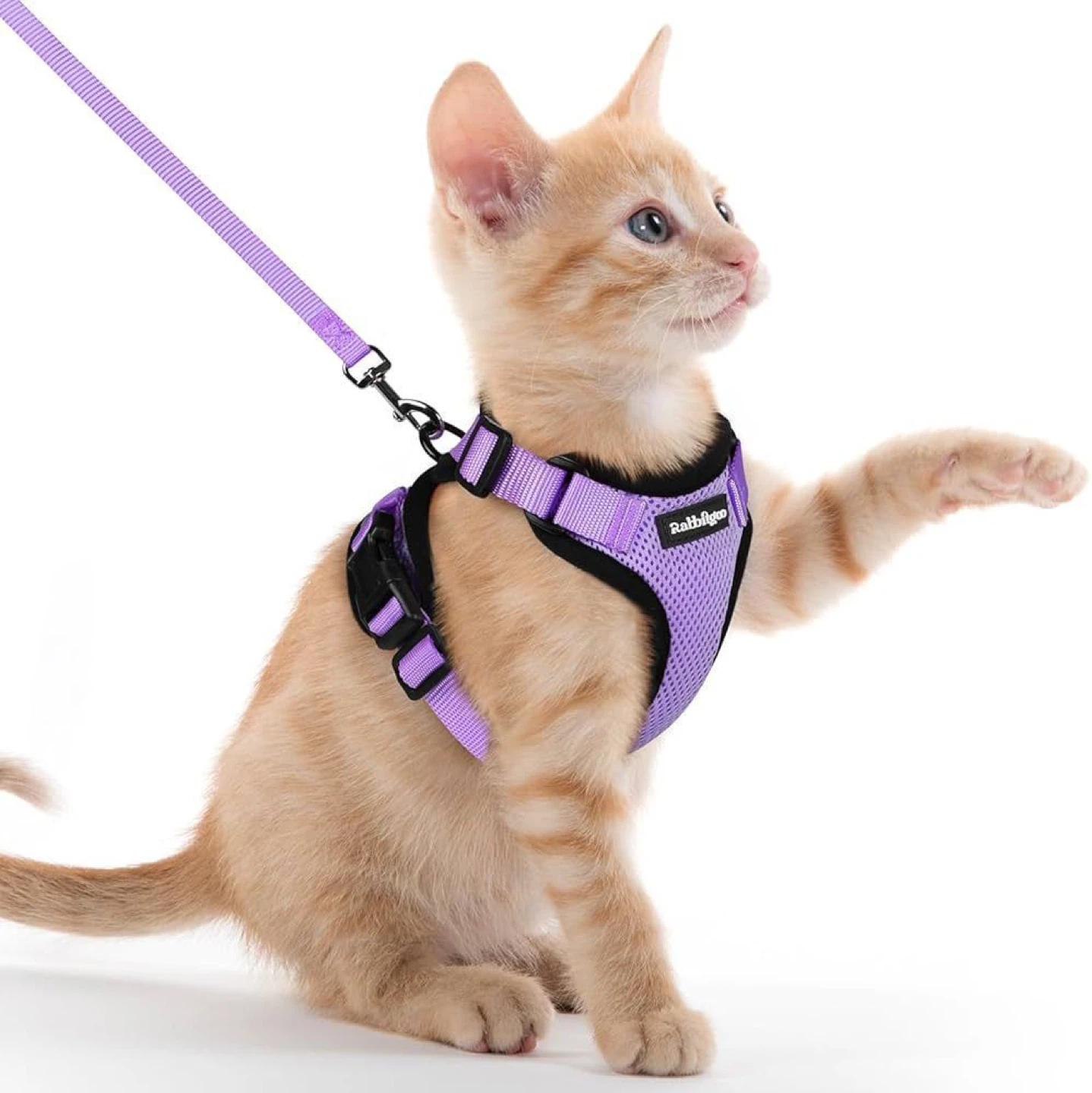 Kitten / Cat Harness (Set of 2) - photo 2