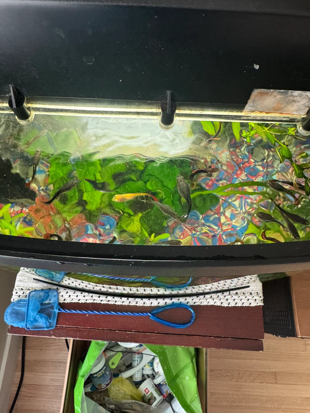 Aquarium Fish Tank with Plants and Accessories - photo 5