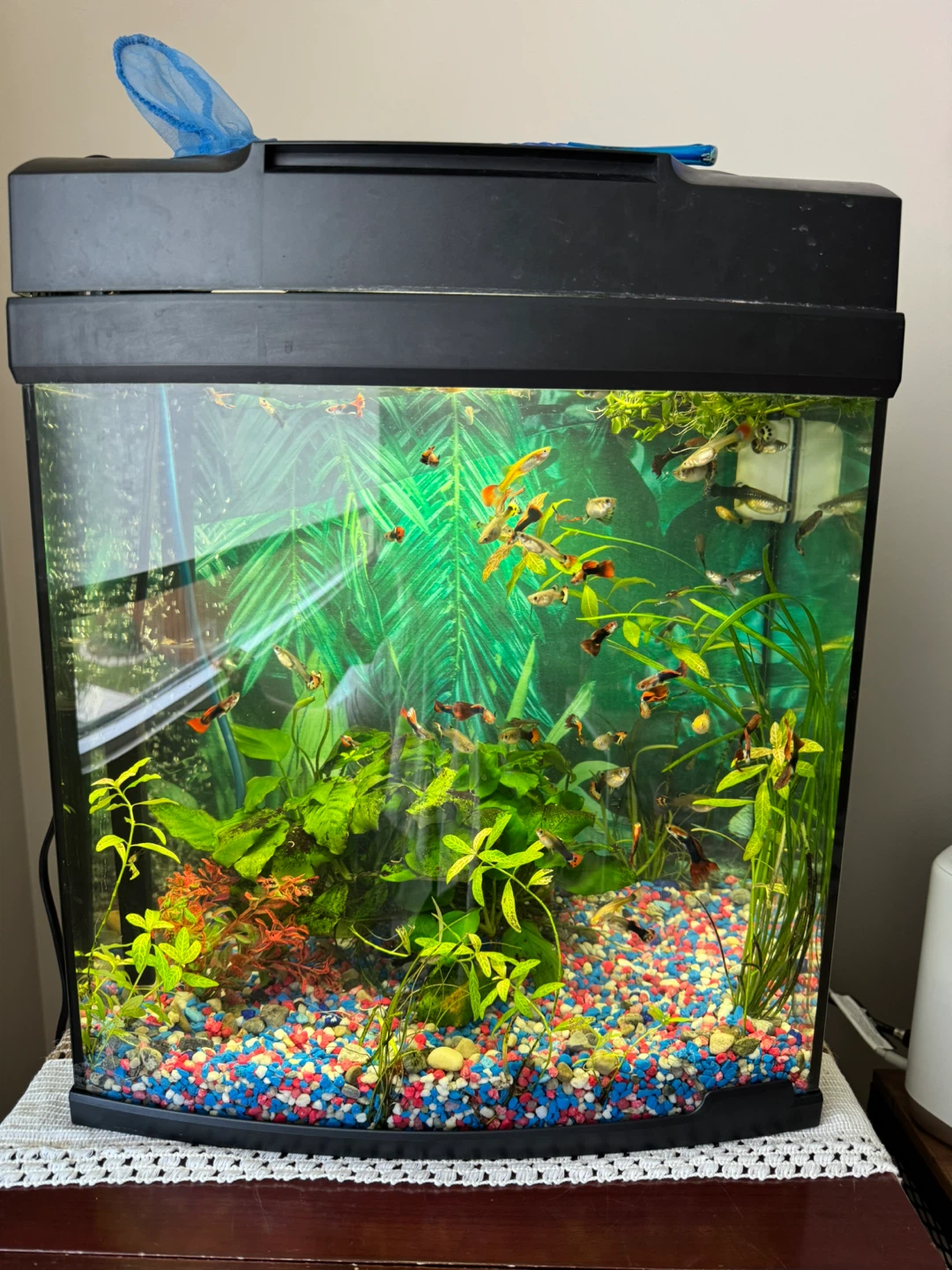 Aquarium Fish Tank with Plants and Accessories - photo 2
