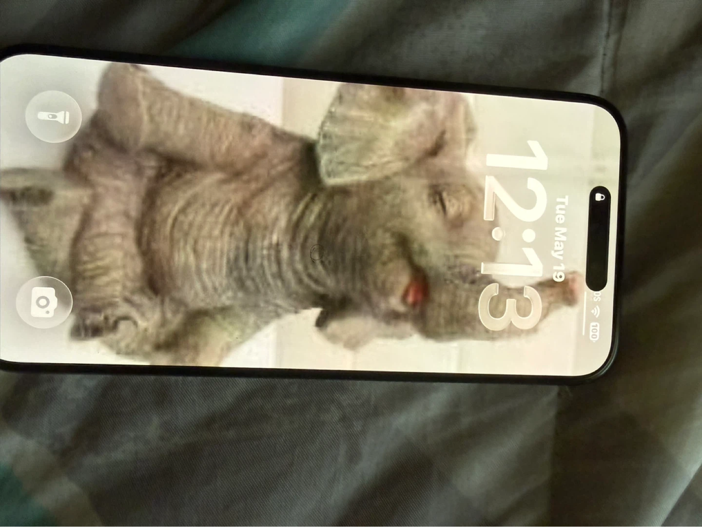 Apple iPhone 15 Pro max - photo 2