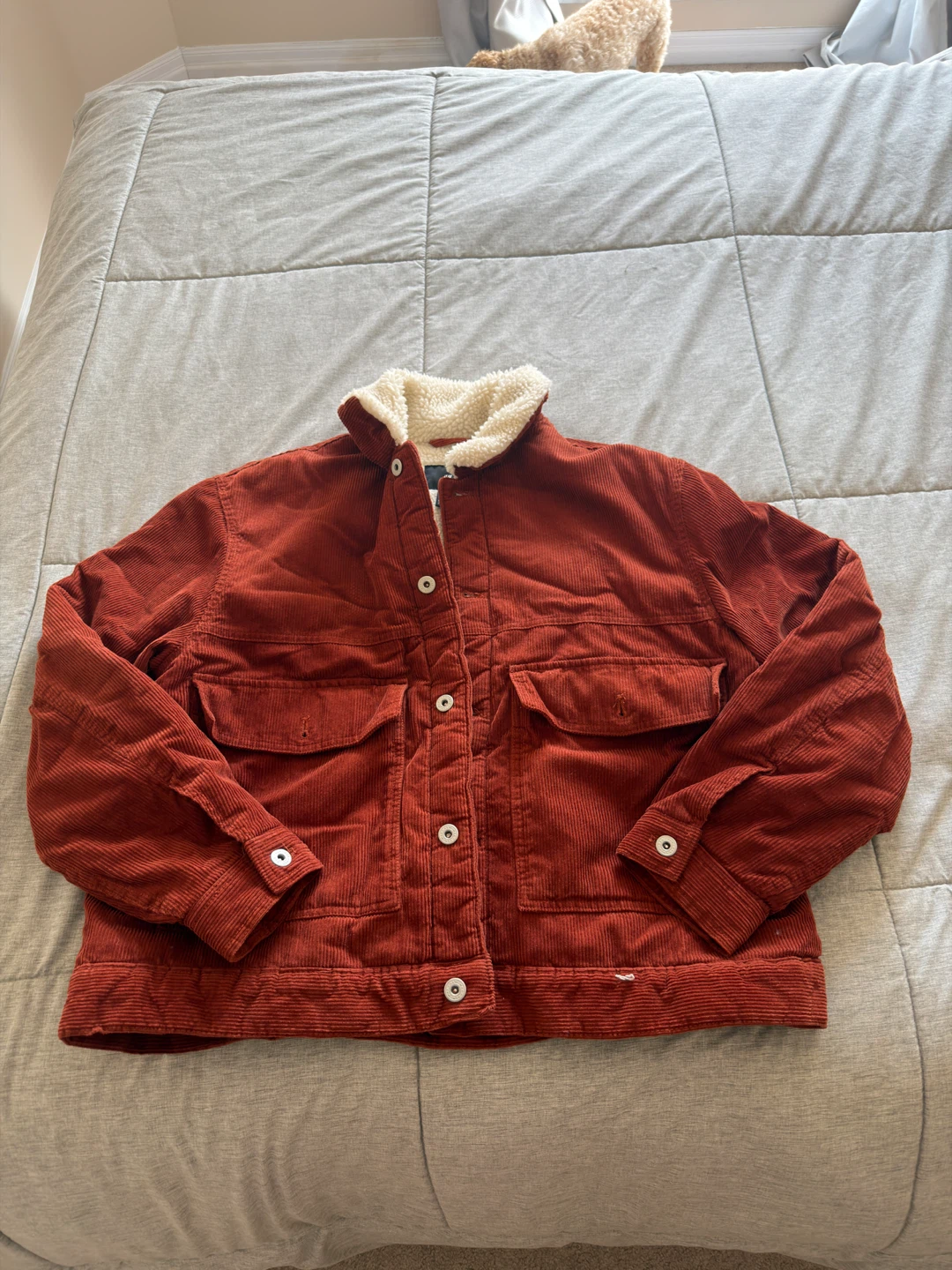 H&M Corduroy Sherpa Lined Jacket - Size XL