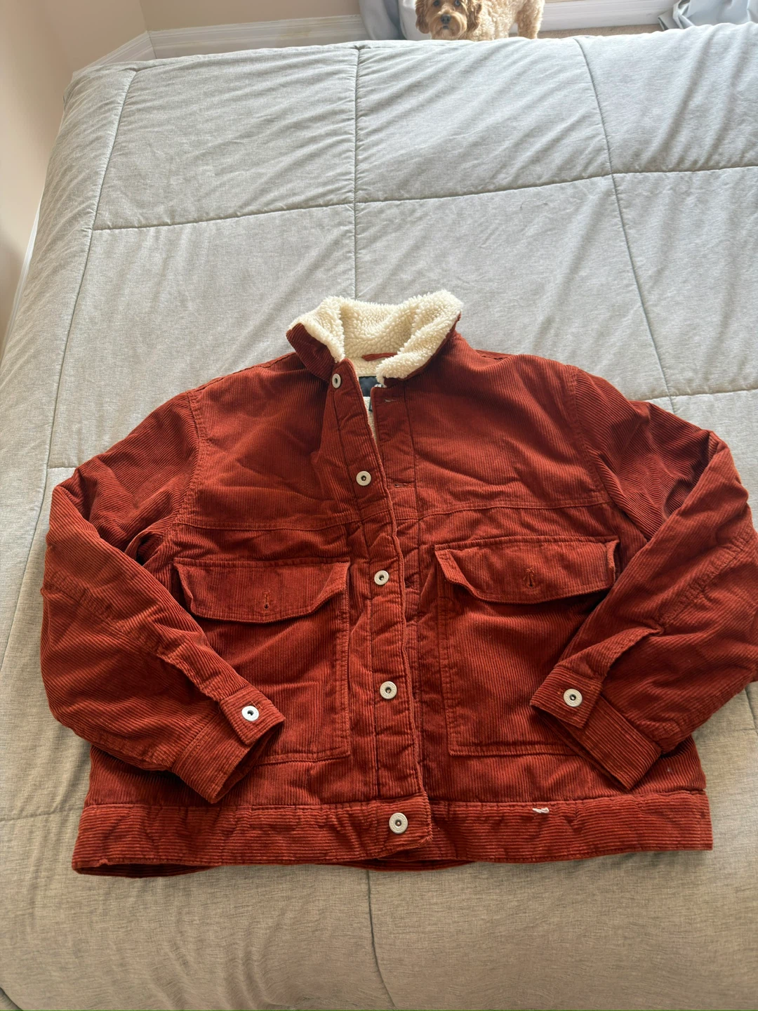 H&M Corduroy Sherpa Lined Jacket - Size XL - photo 3
