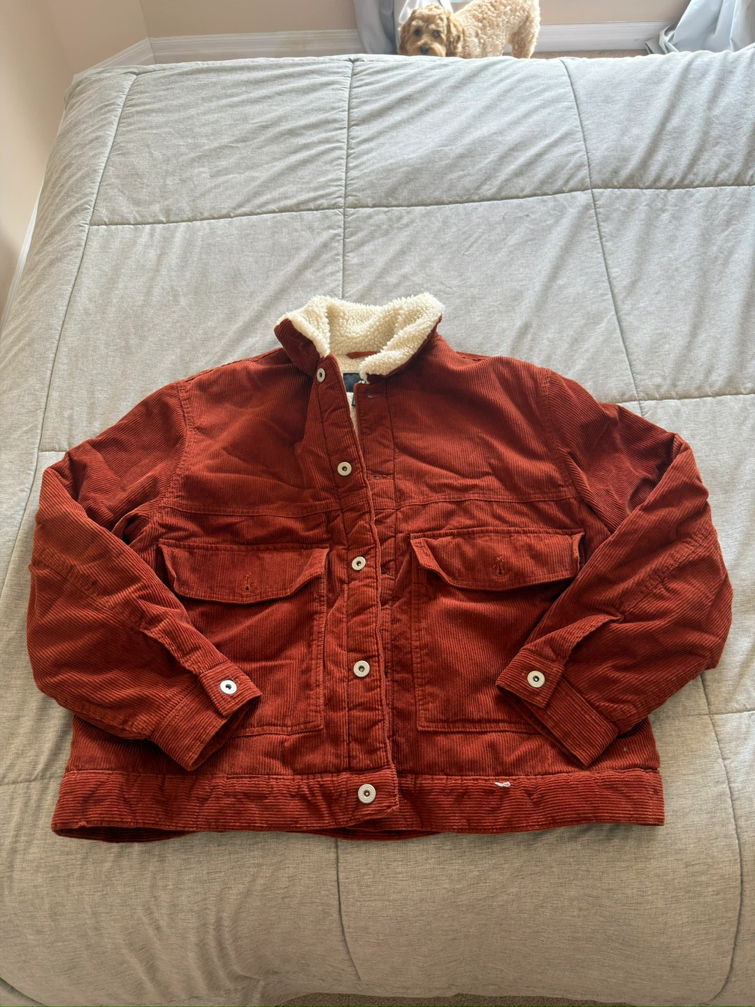 H&M Corduroy Sherpa Lined Jacket - Size XL - photo 2