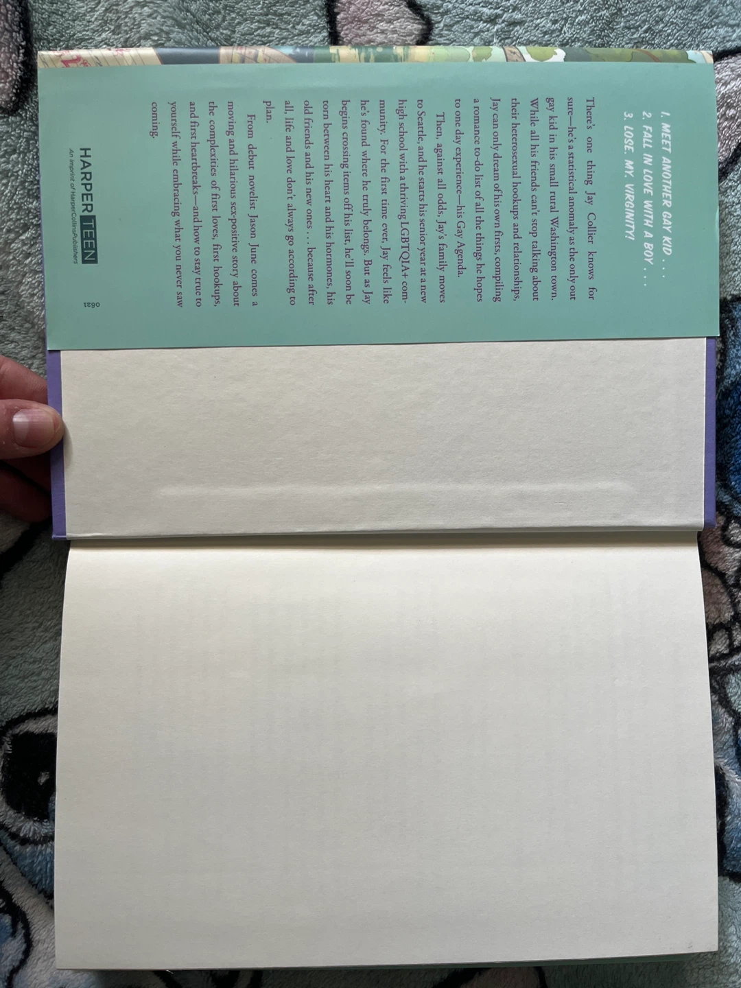 Jays Gay Agenda - photo 3