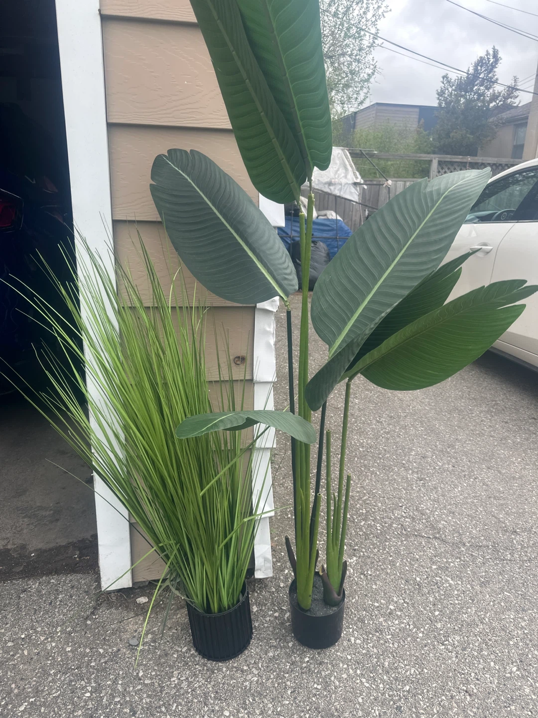 Black Woven Basket Planter and plants