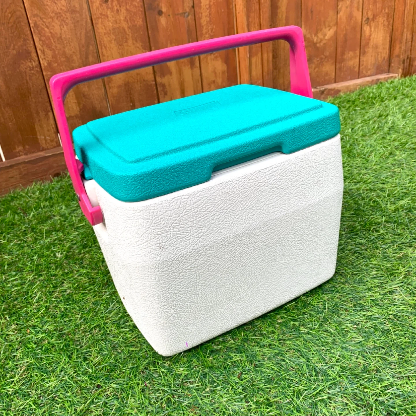 Cooler Coleman Personal Cooler Small Camping Portable