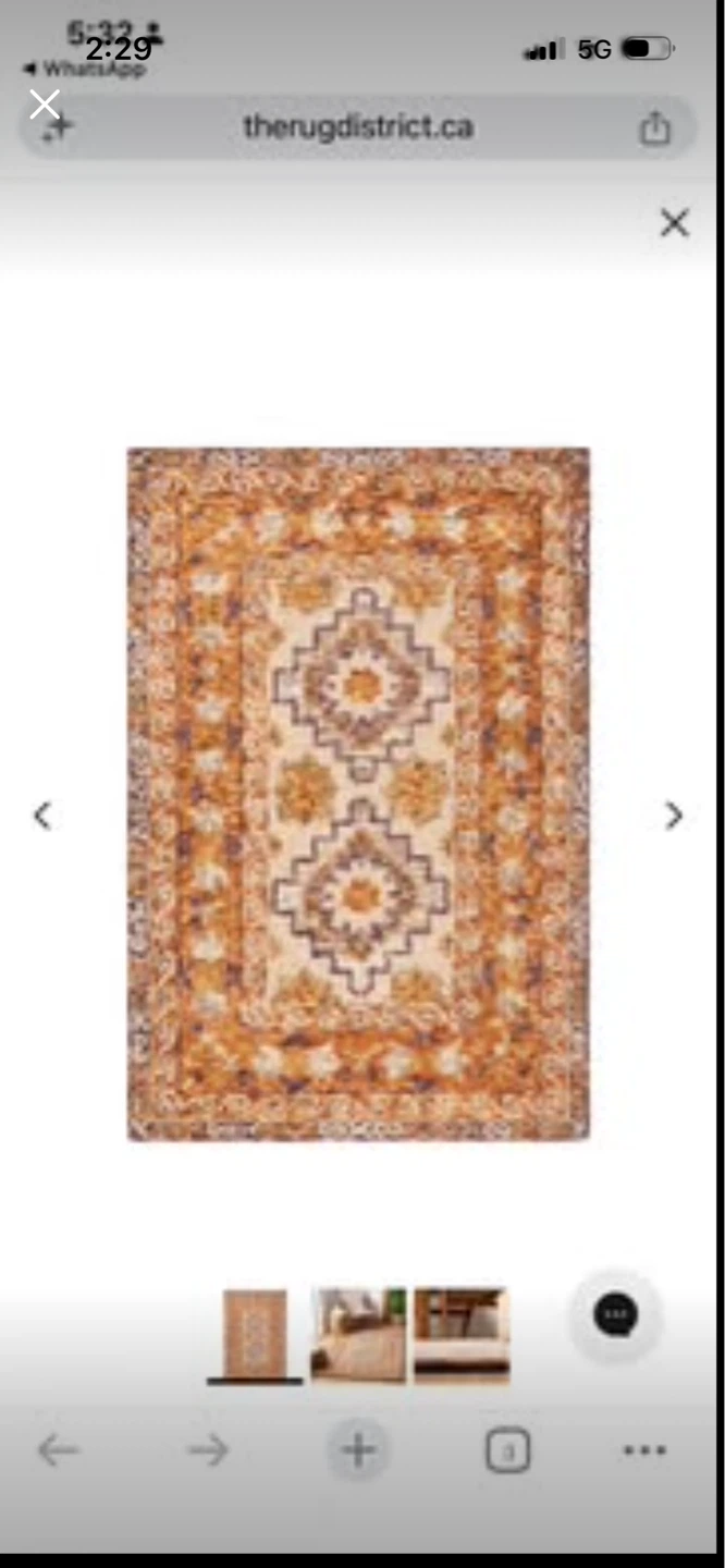 New Persian Style Area Rug