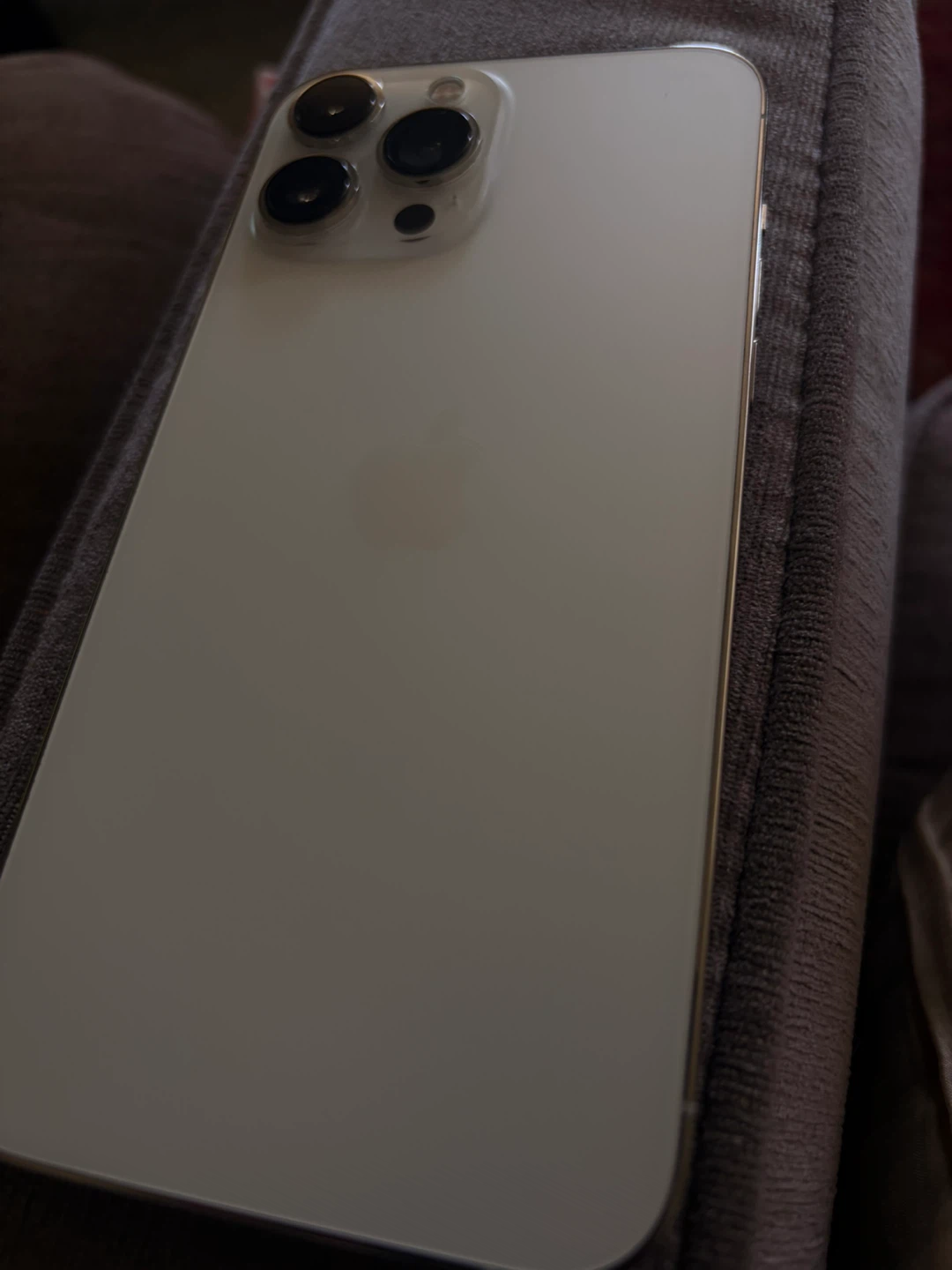 Apple iPhone 13 Pro Max