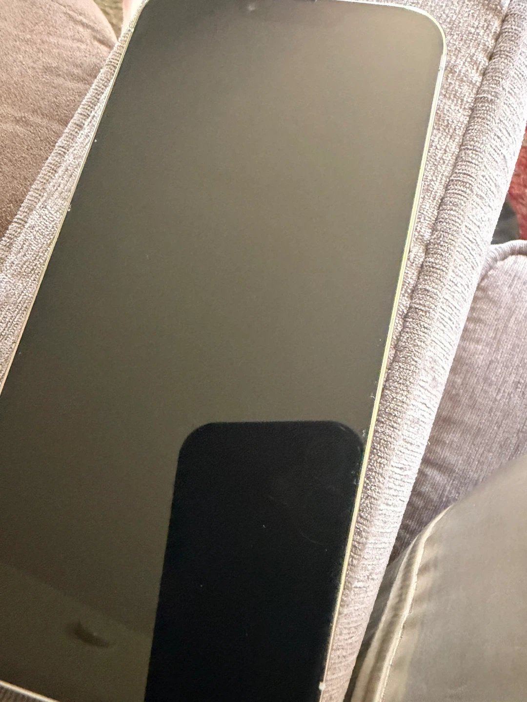 Apple iPhone 13 Pro Max - photo 3