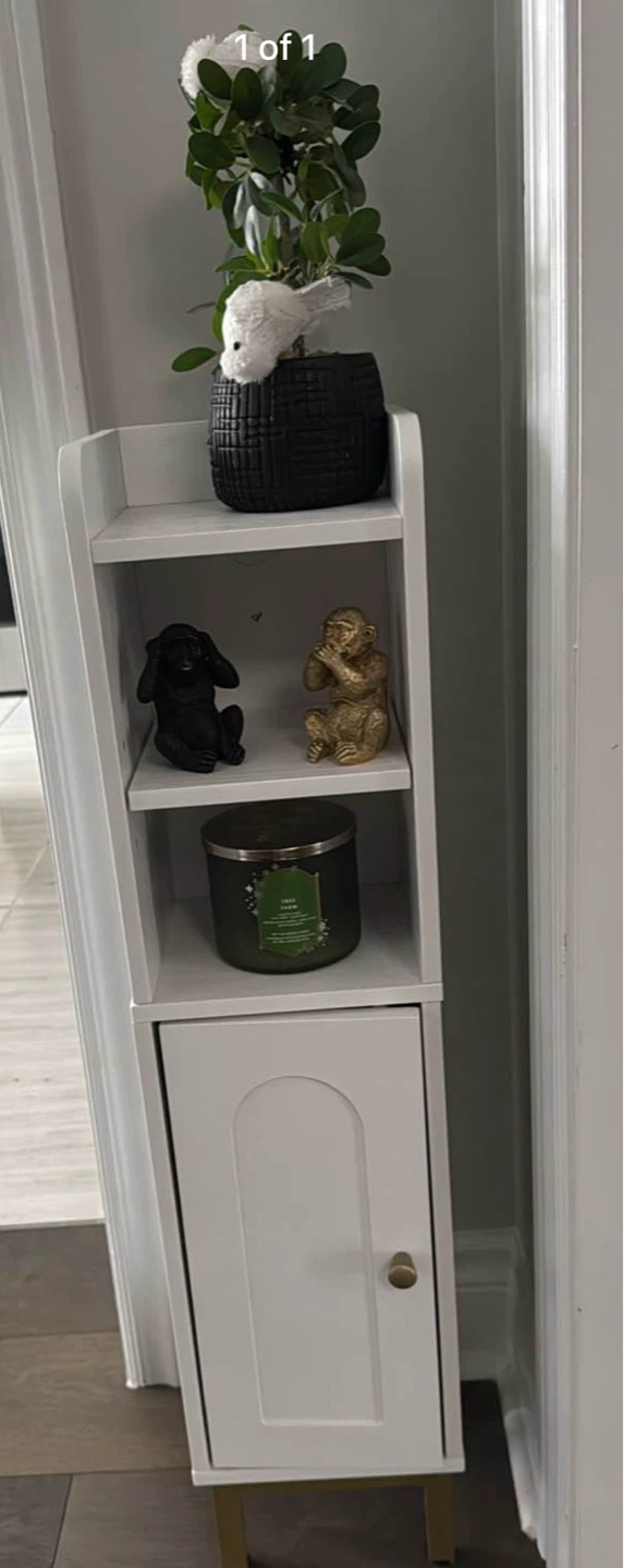 White Narrow Storage Cabinet with Door