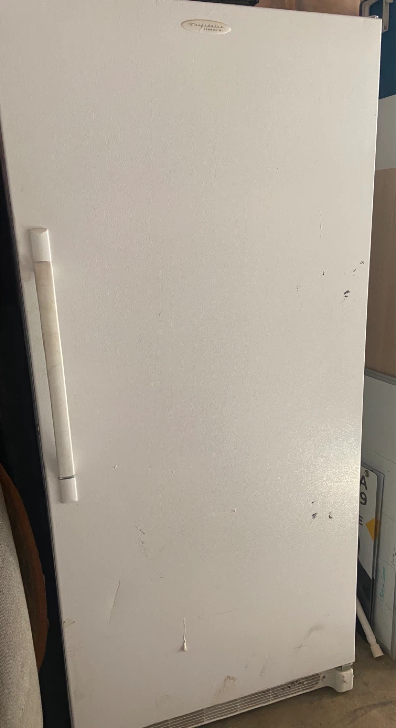 Frigidaire Commercial Upright Freezer - photo 2