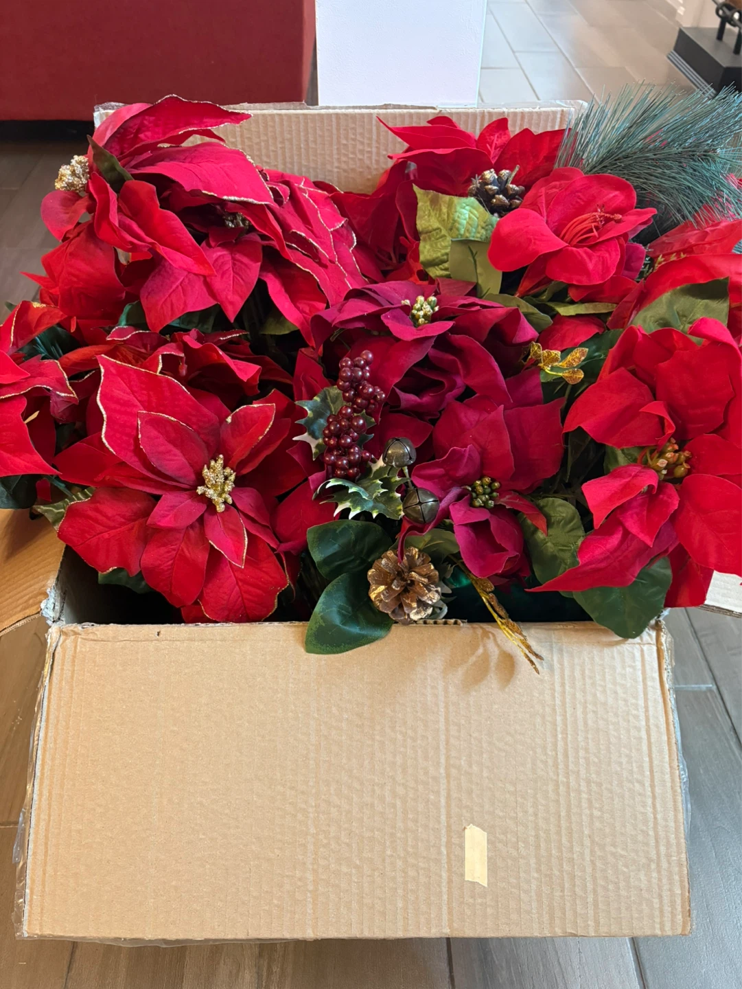 Christmas poinsettias
