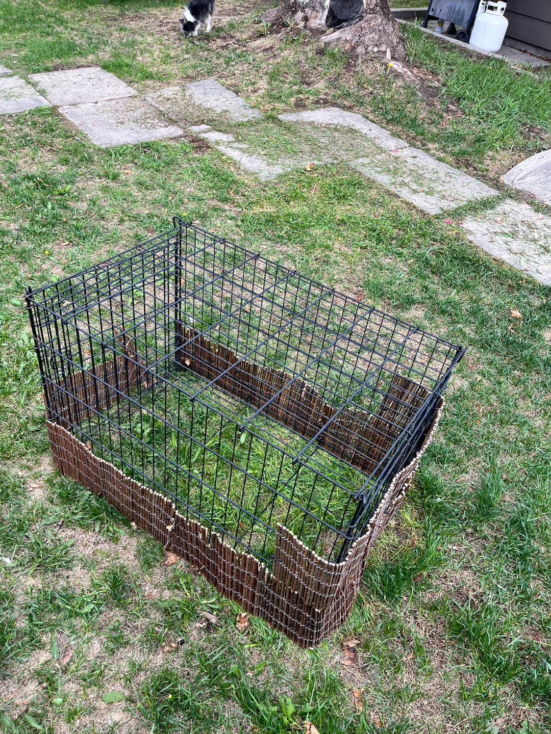 Wire Pet Playpen / Crate - photo 4