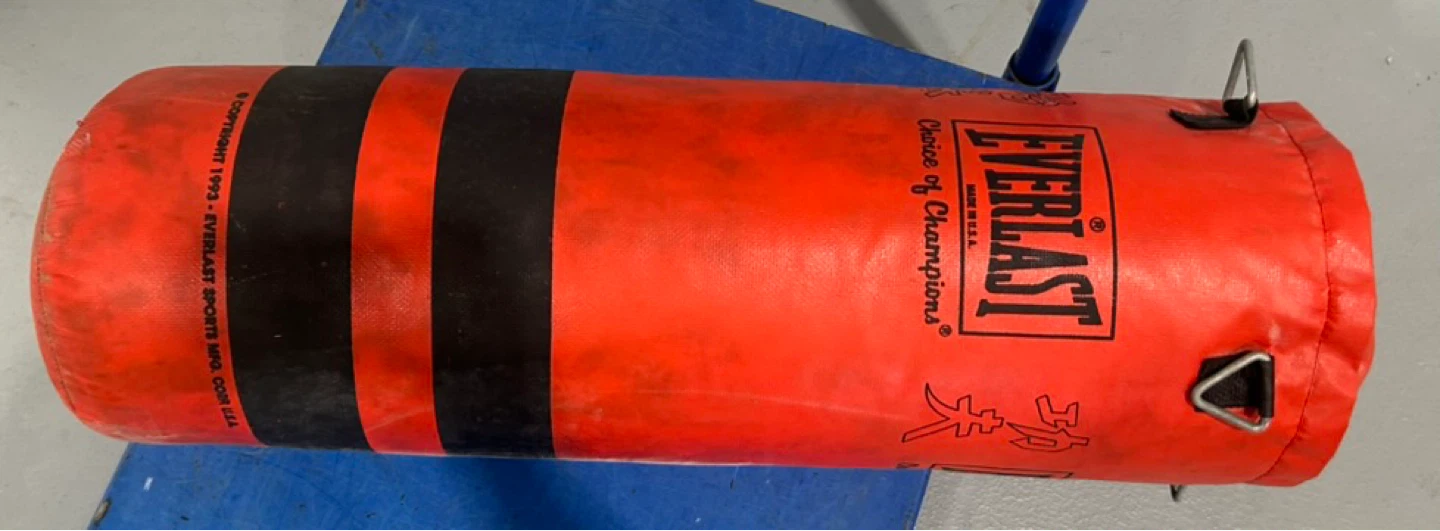 Everlast Punching Bag - Red and Black