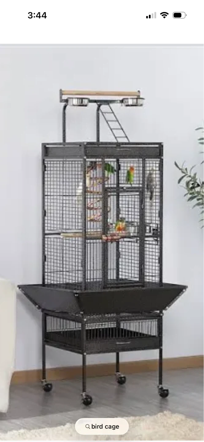 Bird cage