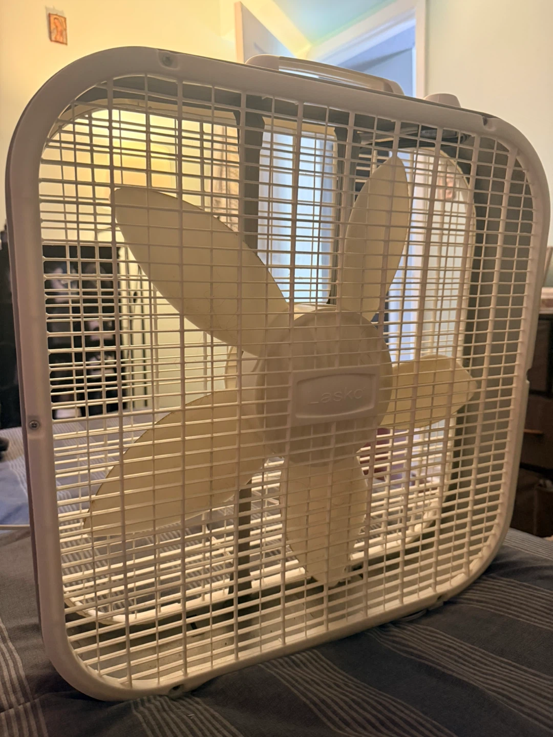 Lasko Box Fan - photo 3