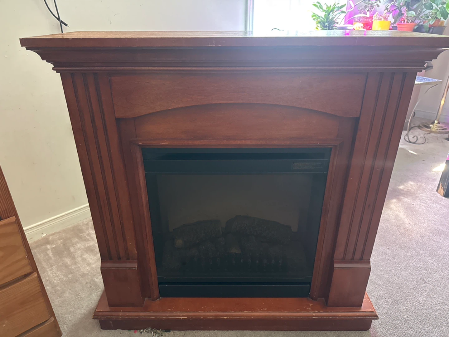 Dimplex Electric Fireplace
