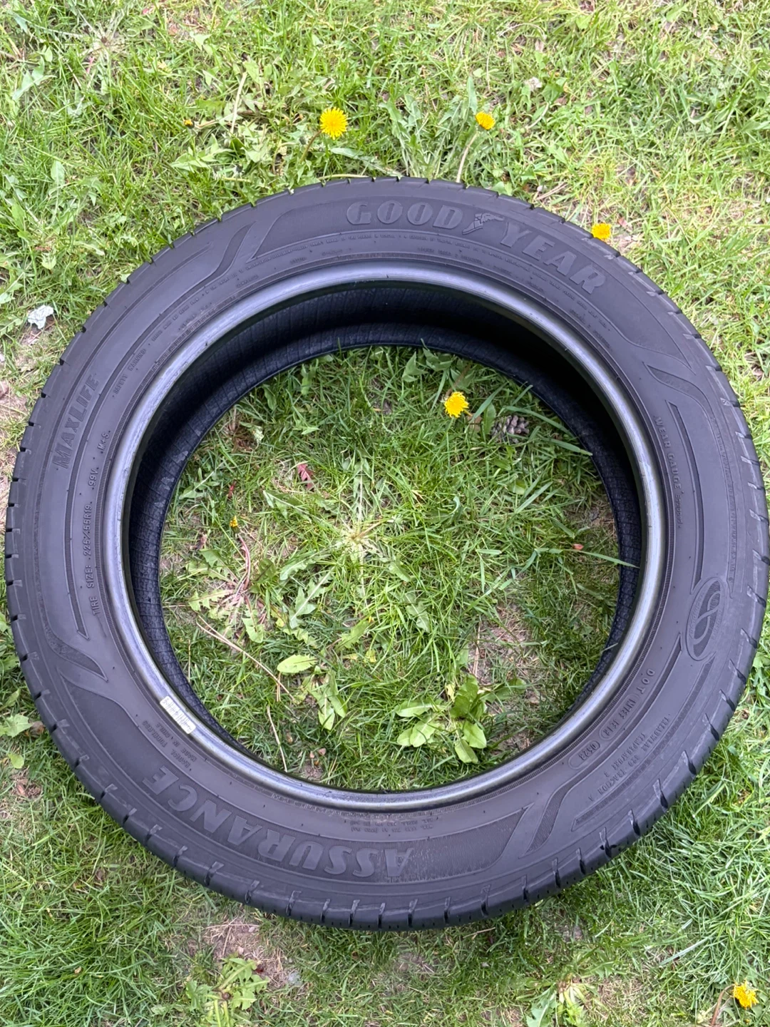 Goodyear Assurance Tire 225/55R19