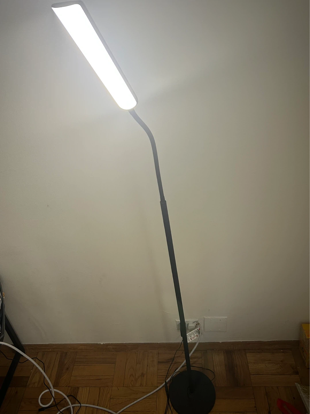 Adjustable LED Floor Lamp
