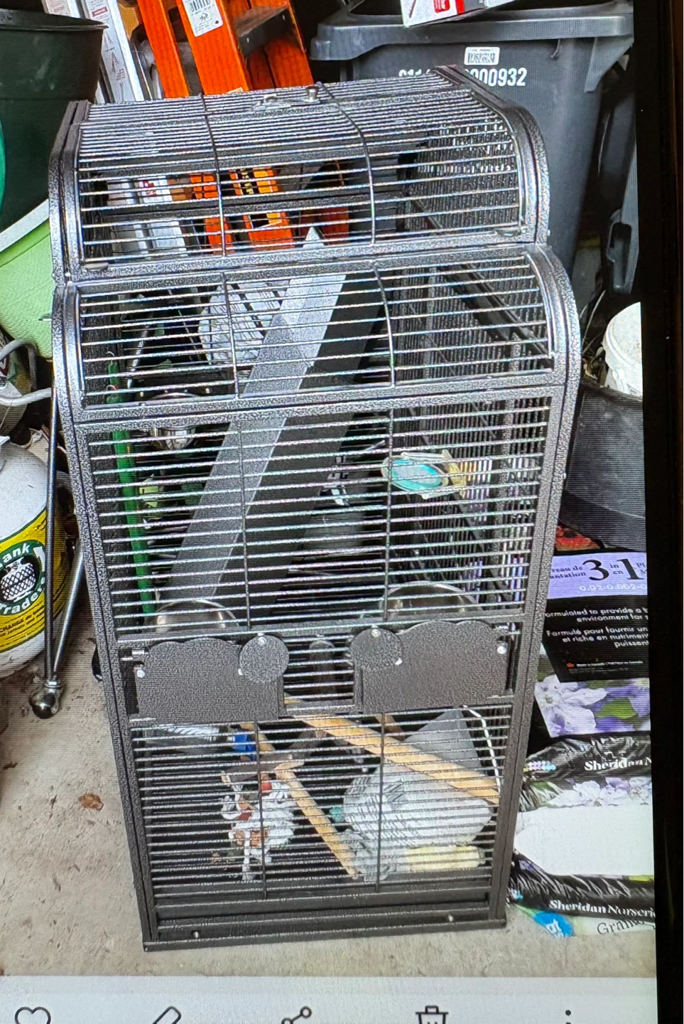 Large Metal Bird Cage