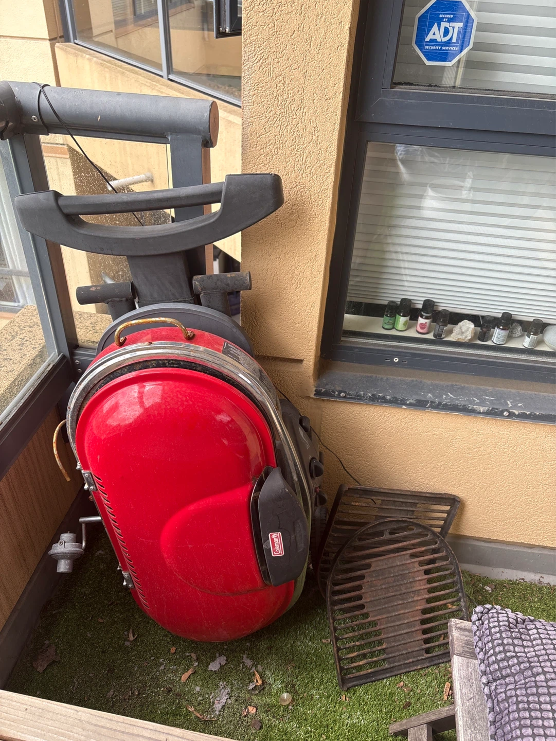 Weber Q Gas Grill