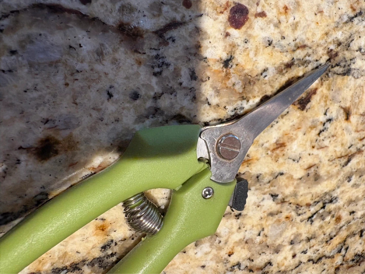 Green Handle Pruning Shears - photo 3