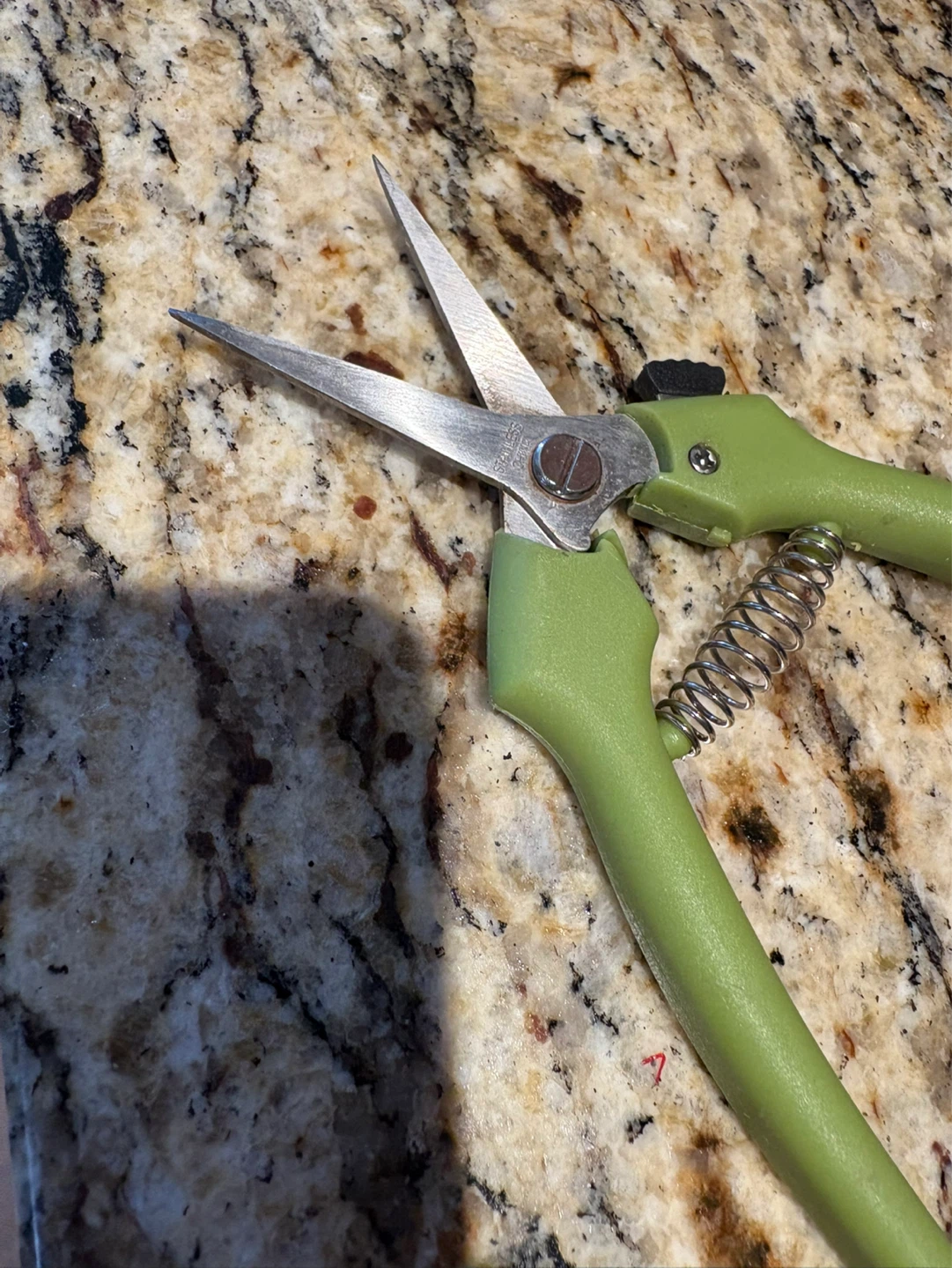 Green Handle Pruning Shears