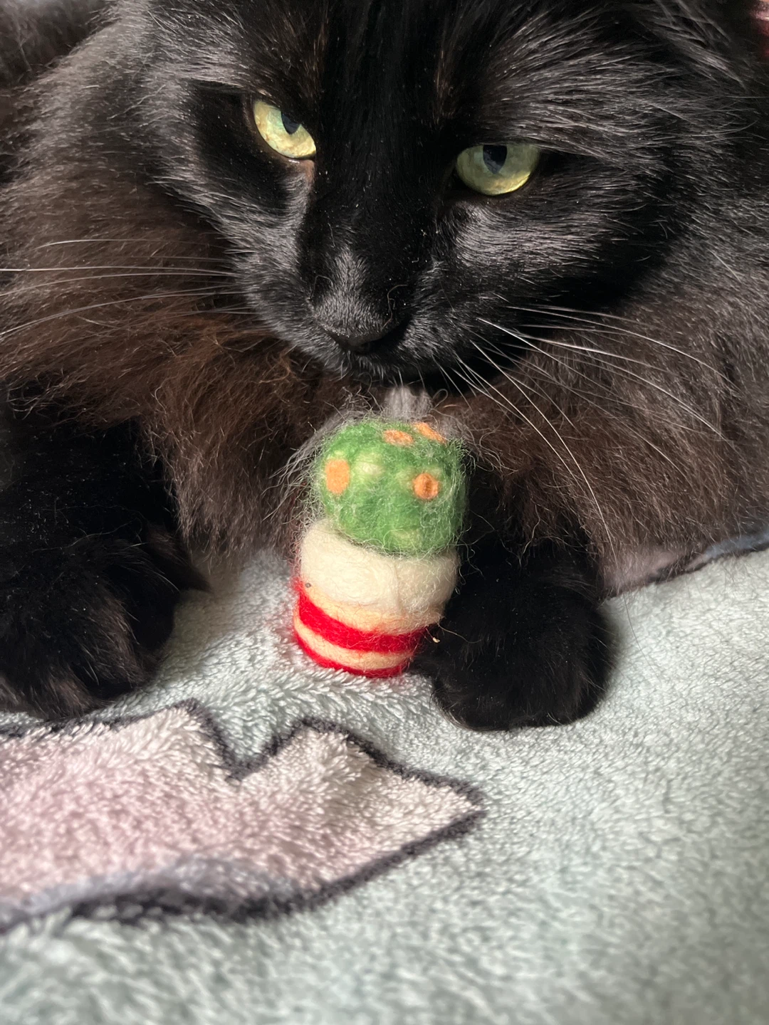 Needle felted cactus - photo 3