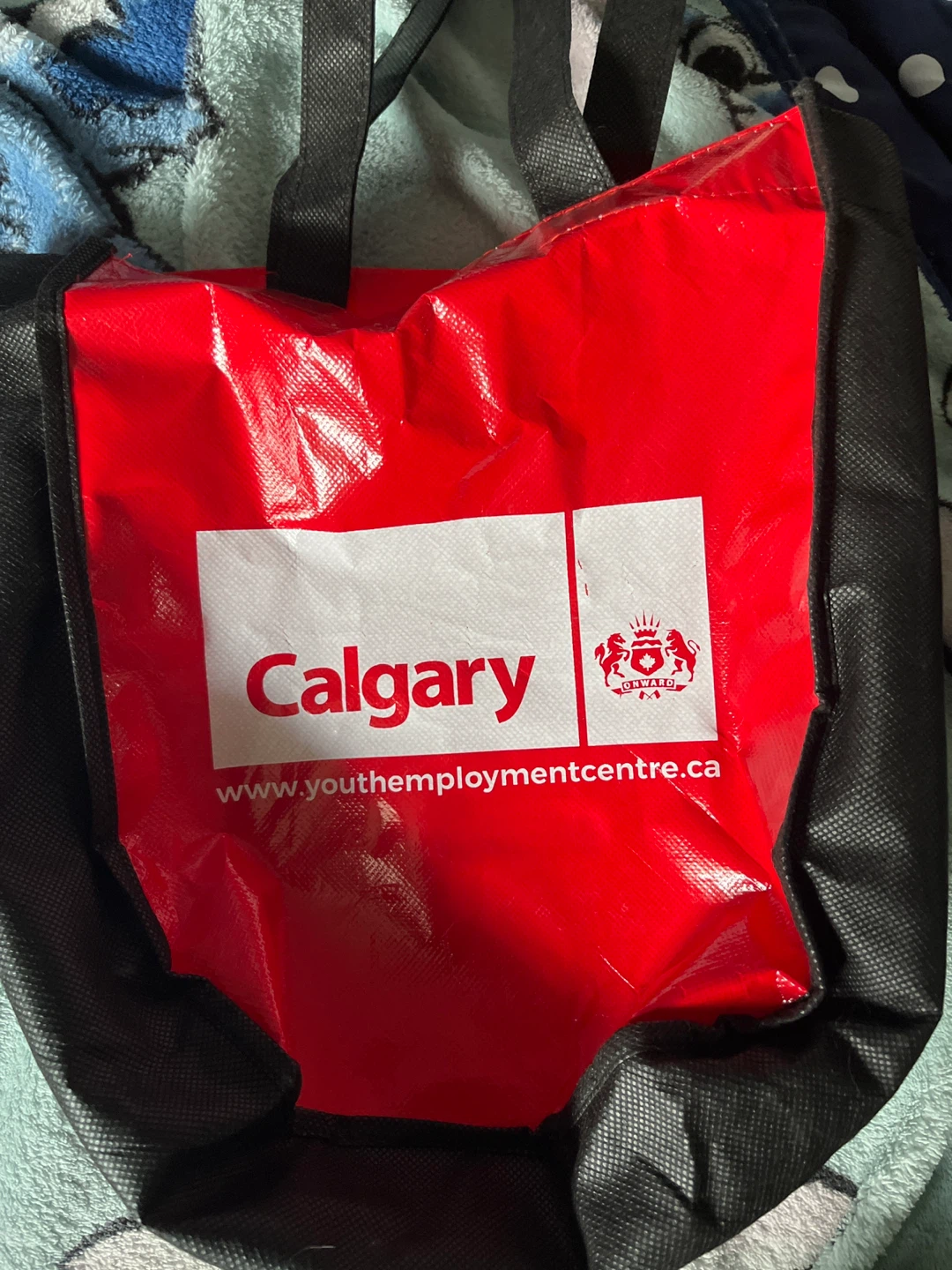 Youth employment centre bag