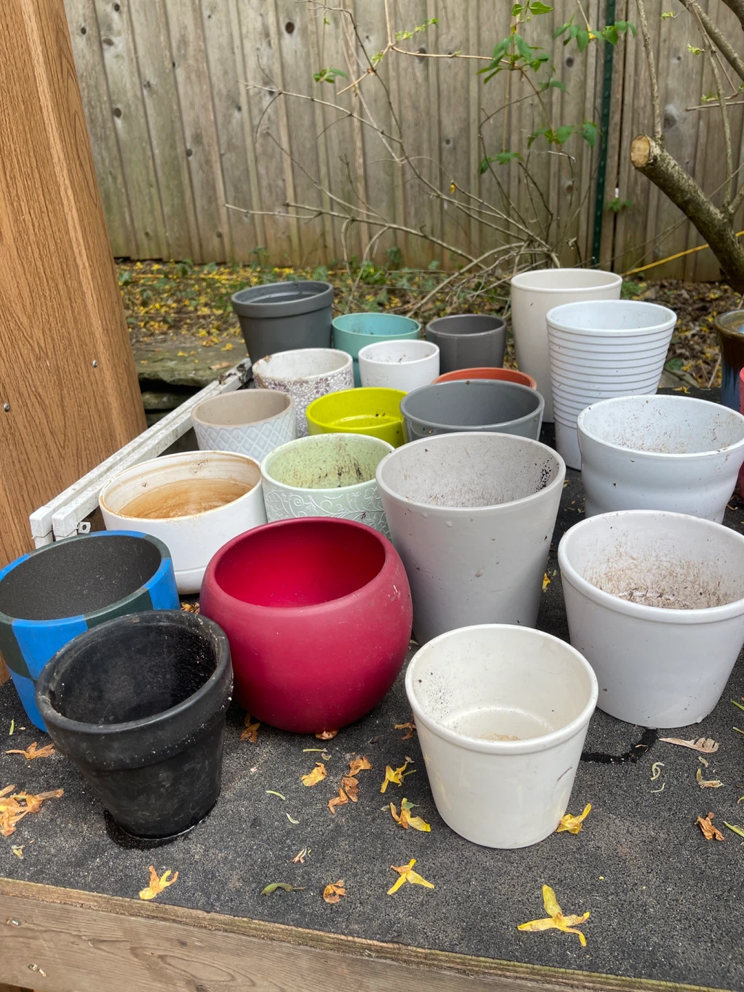 Assorted Plant Pots no holes
