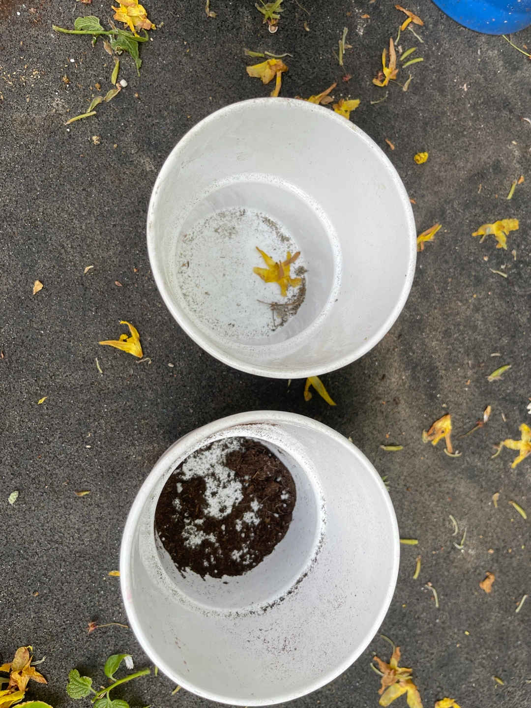 IKEA KARDEMUMMA White Planters (2) - photo 2