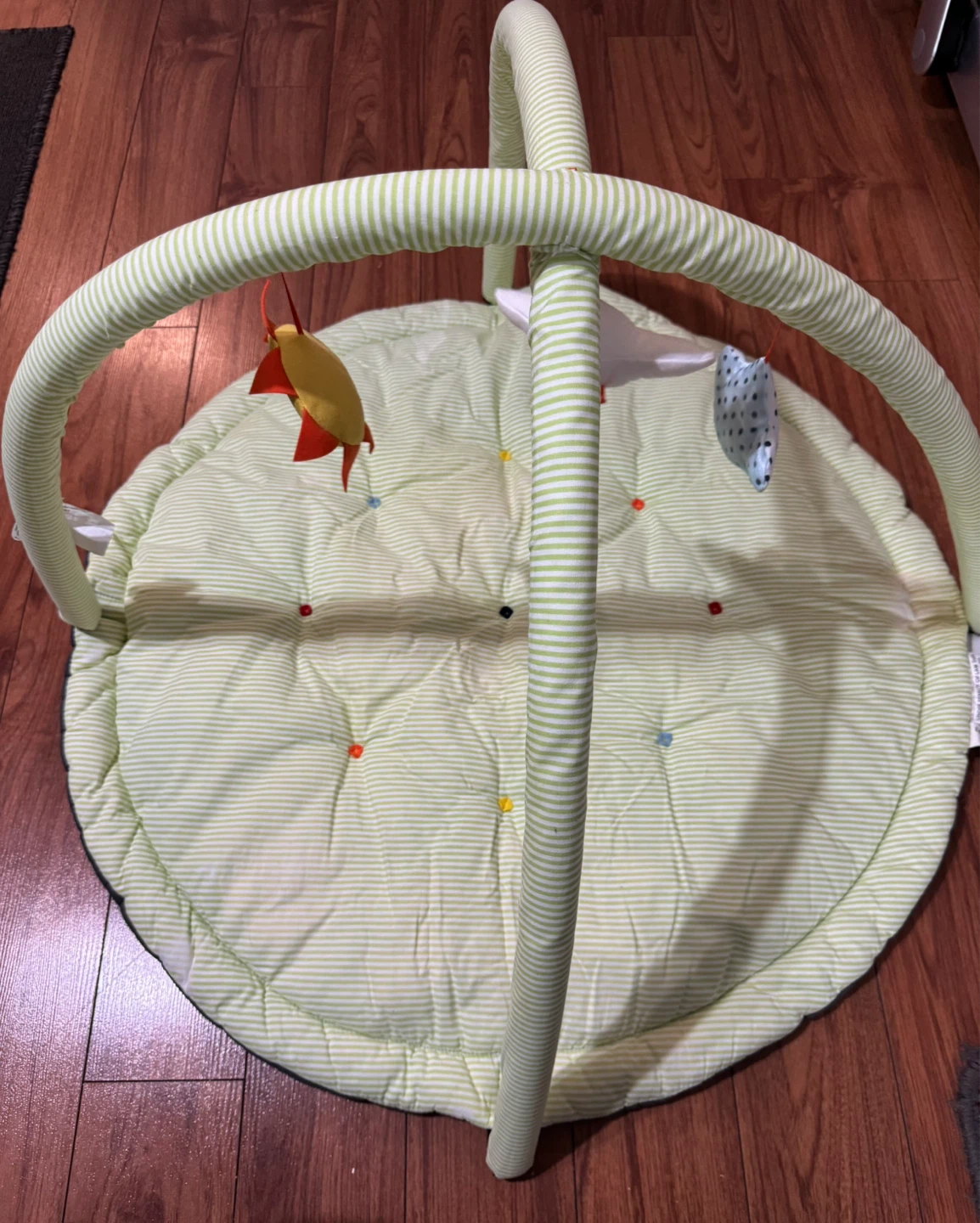 Baby Play Gym Mat with Toys