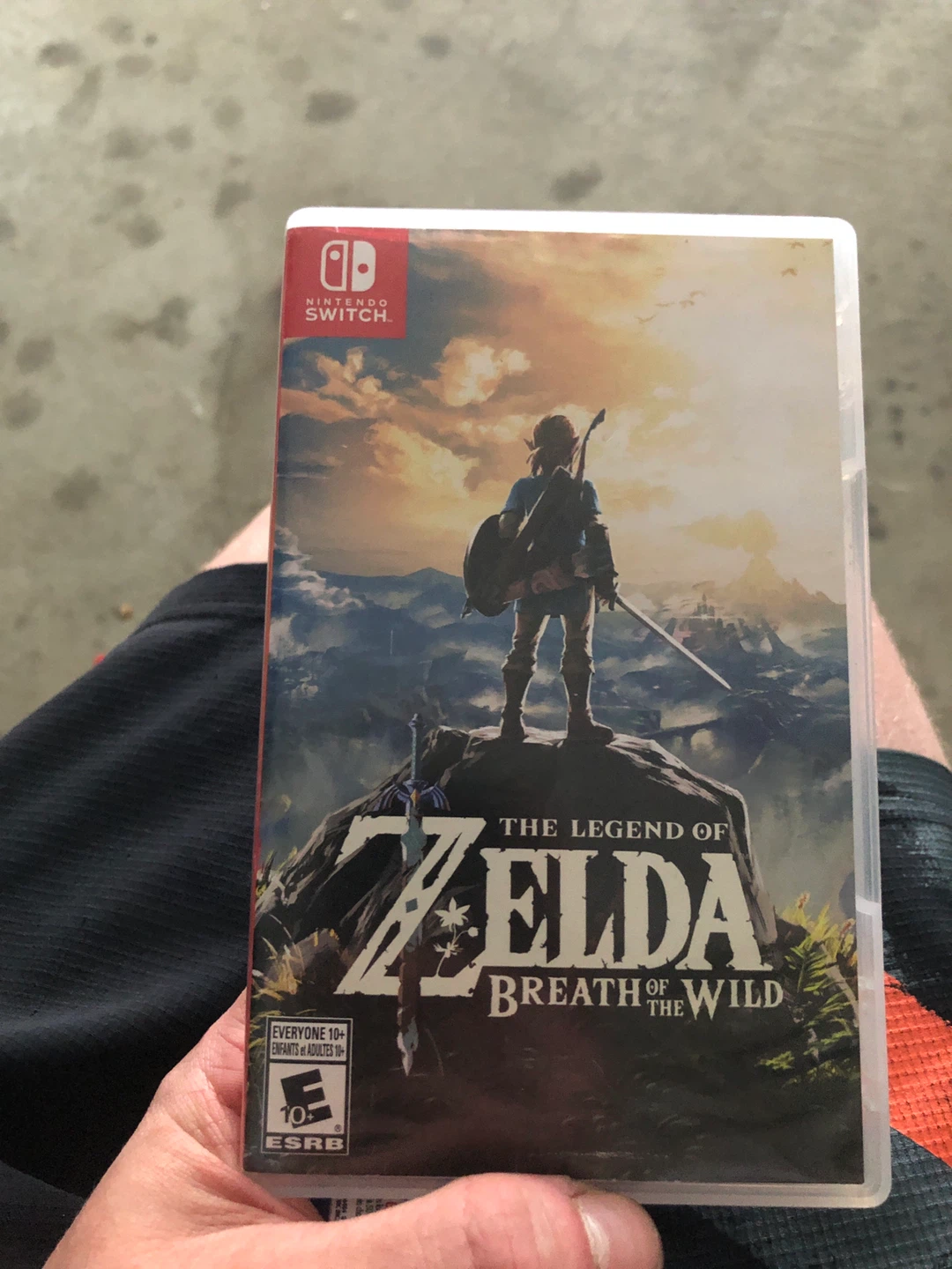 Nintendo Switch The Legend of Zelda: Breath of the Wild Game