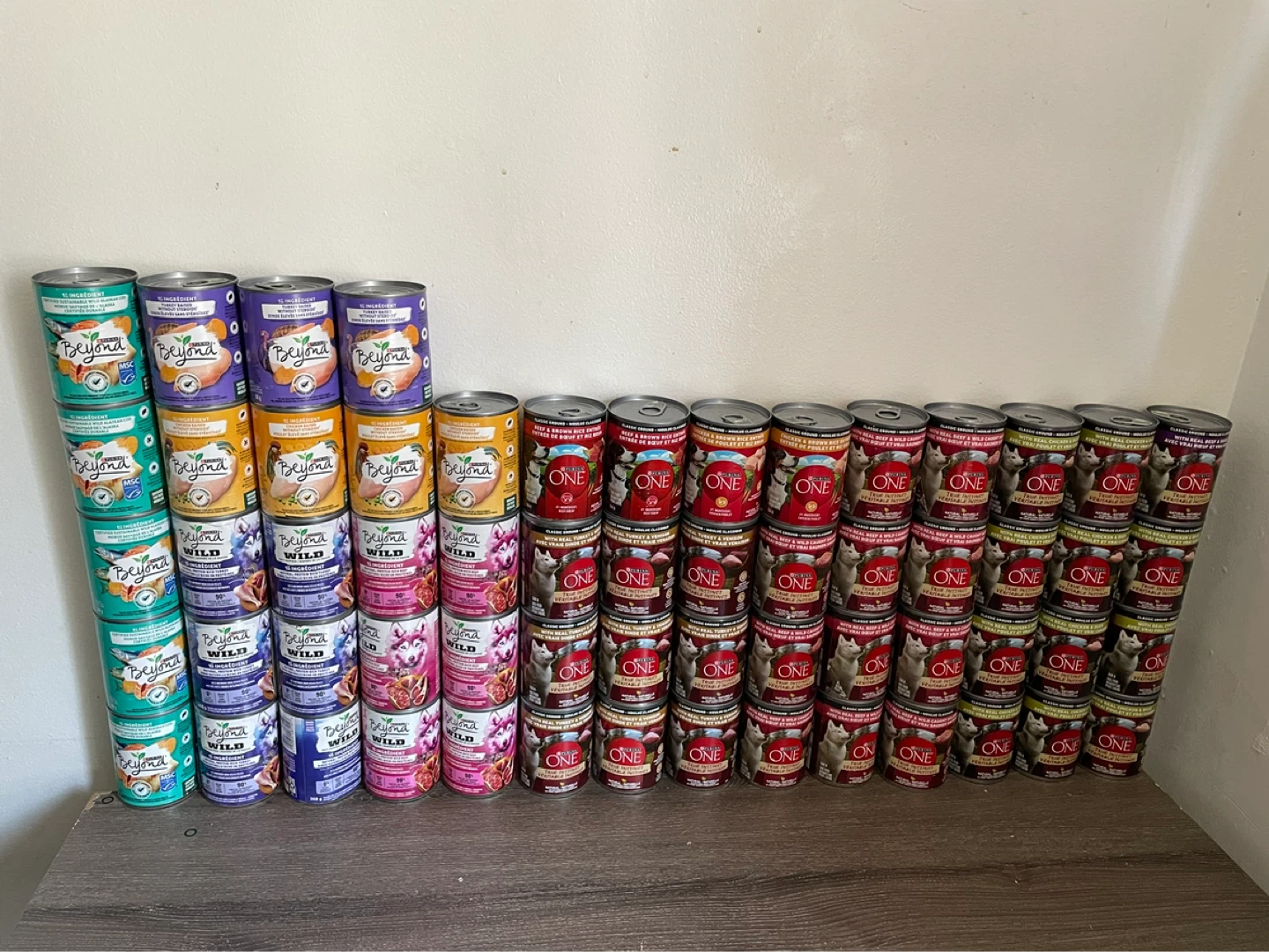 60 Cans Wet Dog Food Lot