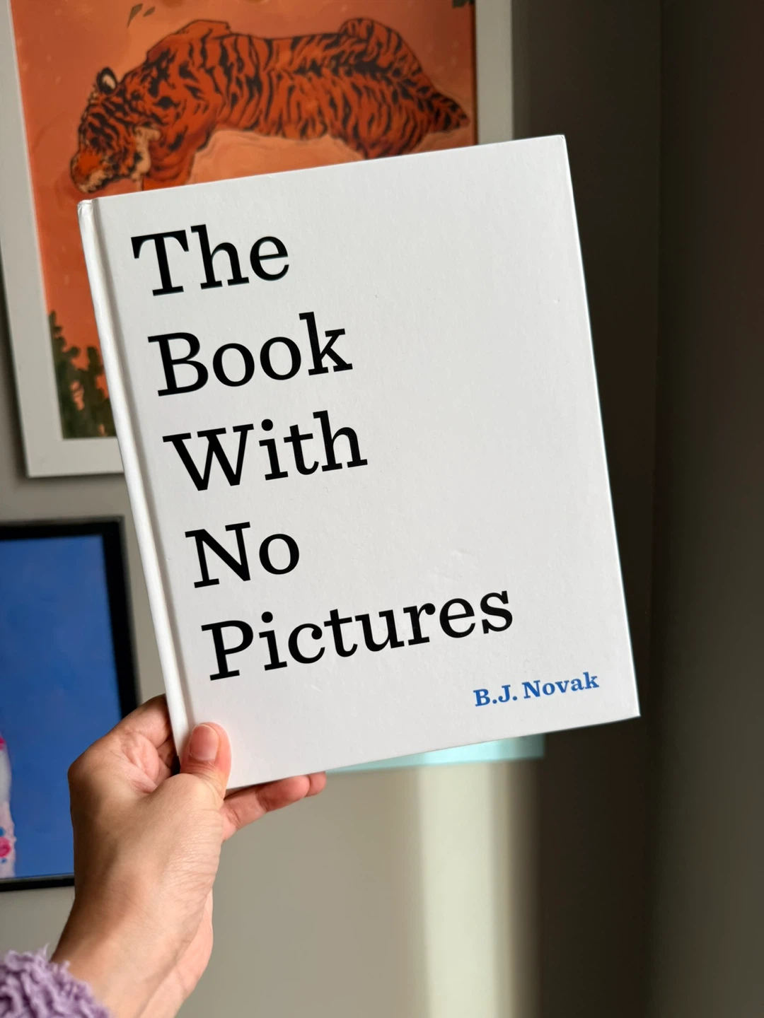 The Book With No Pictures by B.J. Novak