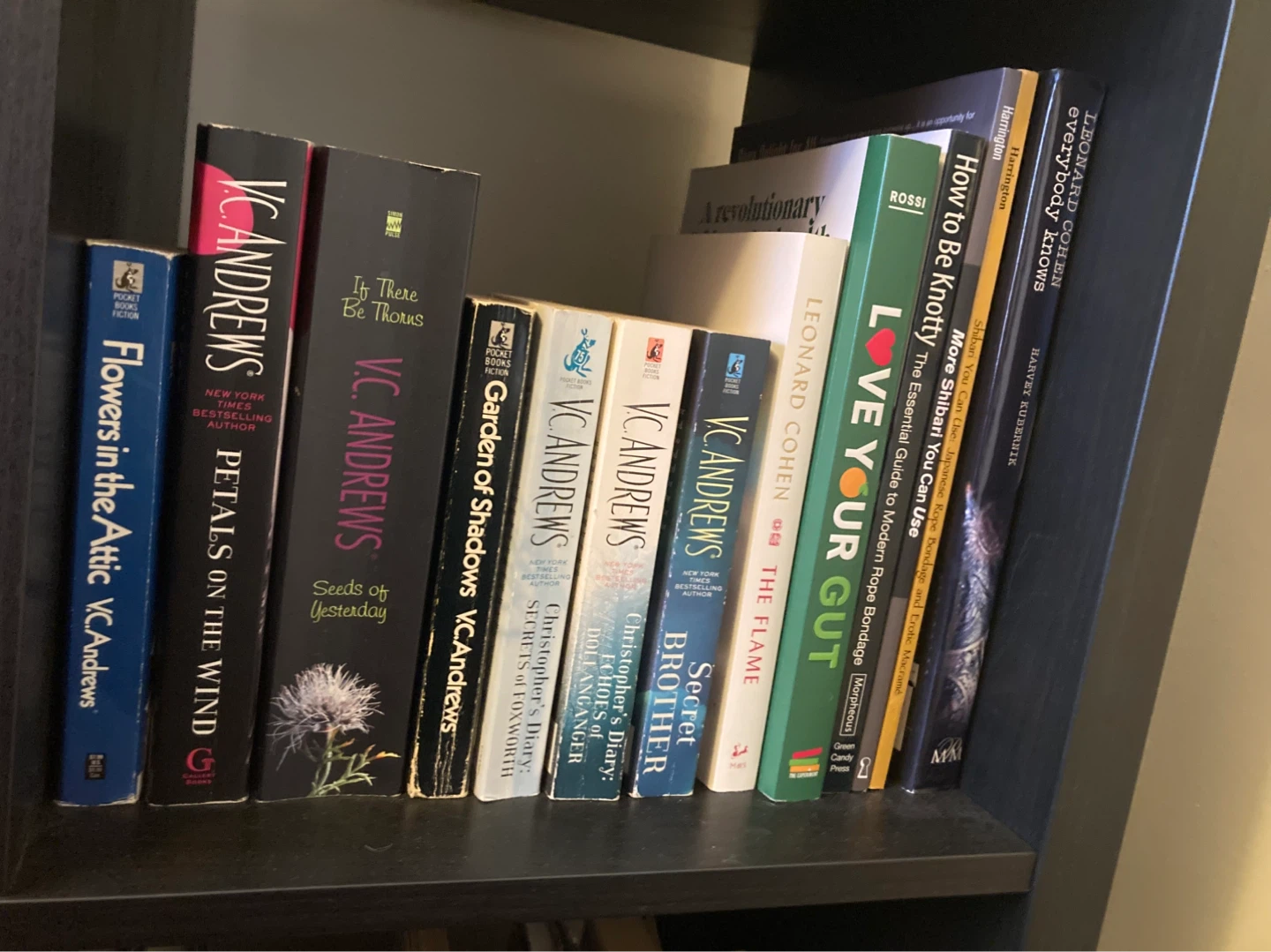 Book Purge - photo 3