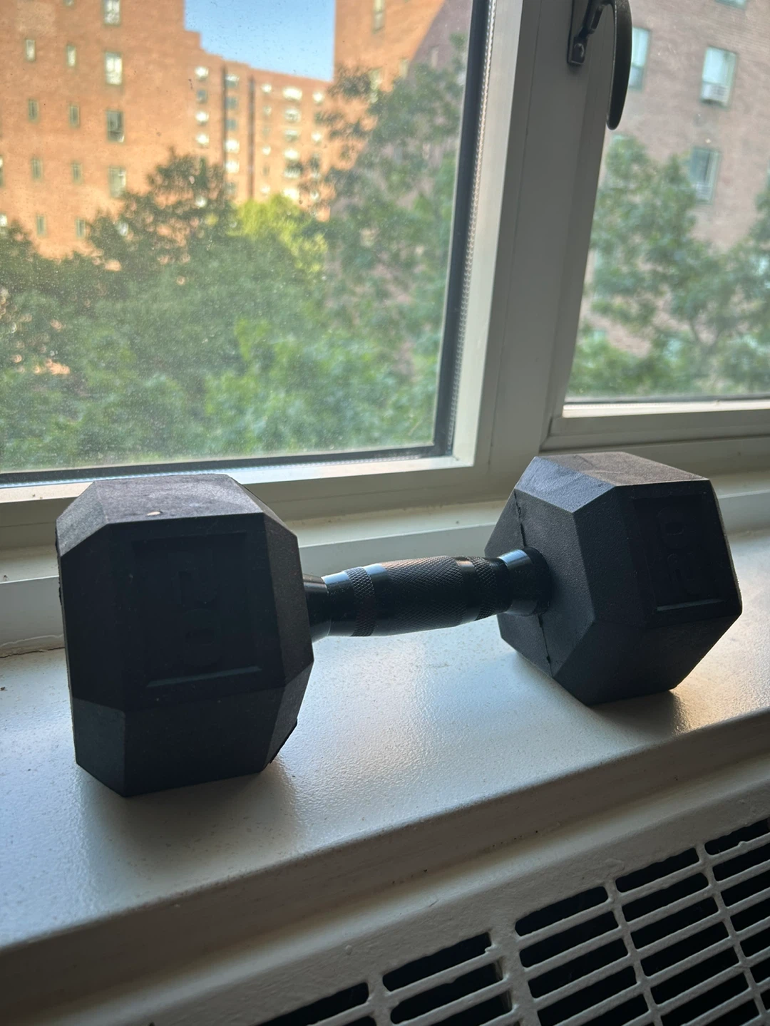 20 lb Hex Dumbbell