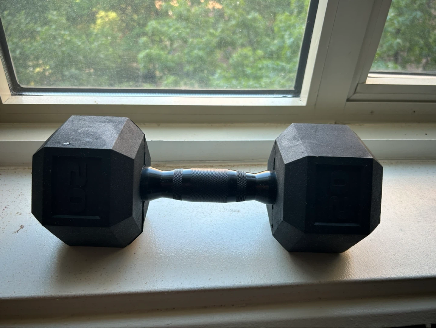 20 lb Hex Dumbbell - photo 2