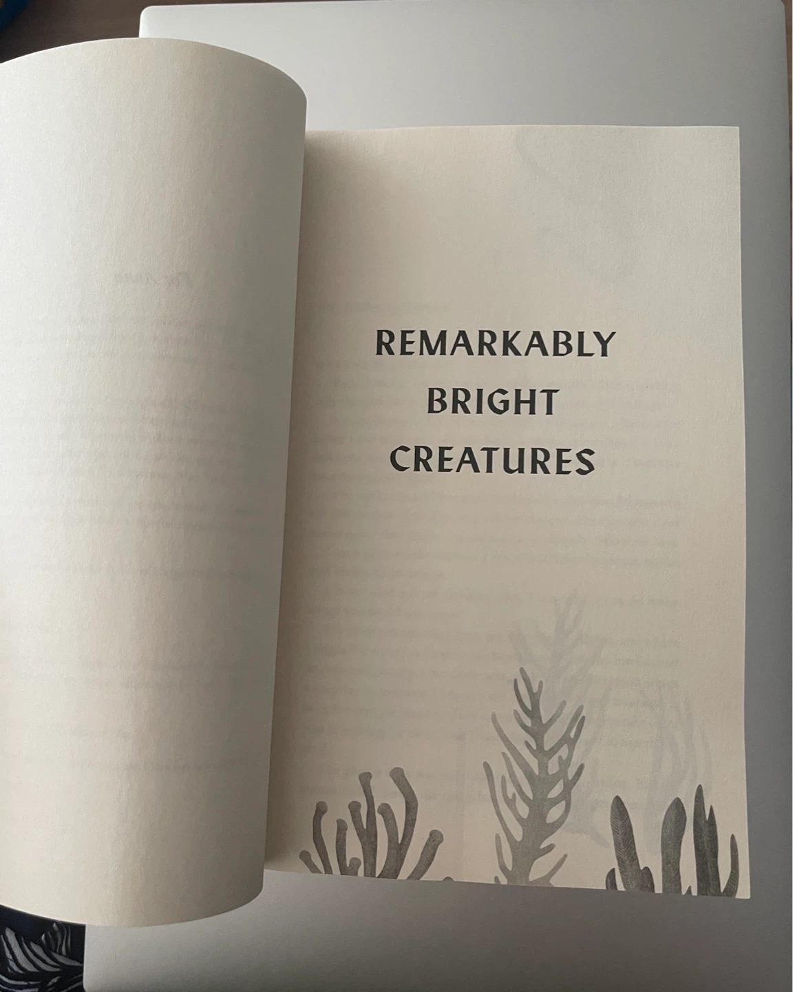 Remarkably Bright Creatures Book - photo 2