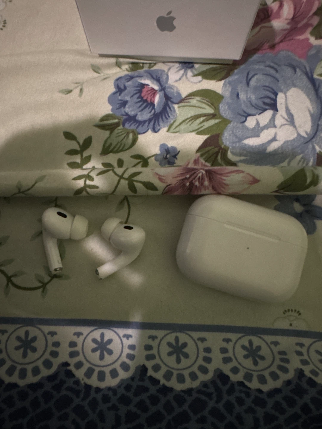 Apple AirPods Pro (2nd generation) Charging Case and Earbuds - photo 3