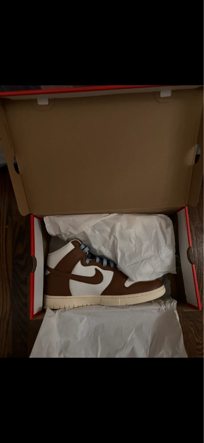 Nike Dunk High brown