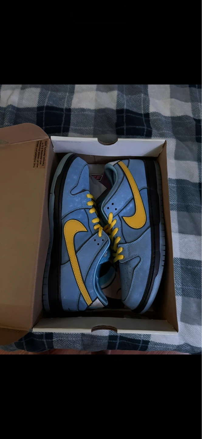 Nike SB Dunk Low Pro QS "Bubbles" Size 13