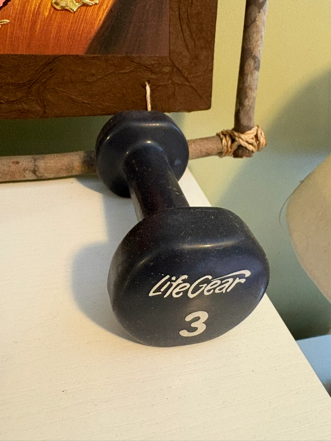Life Gear 3 lb Dumbbell
